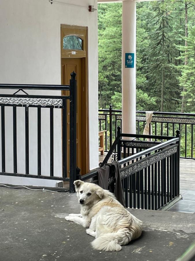Wabi Sabi Riverside Hostel Касоль Экстерьер фото